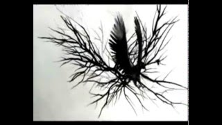 Bliss - Unrevealed [Interlude]