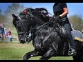 A Memorial Tribute of  KFPS Friesian Stallion Alert 475 Sport