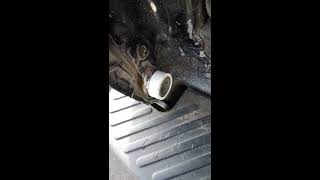 Tailgate Hinge Fix Easy Free Cheap F150