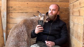 Timofey the raccoon meets an old friend / Umka the Lynx is delighted with the beard by Raccoon TV 52,658 views 2 years ago 5 minutes, 58 seconds