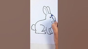 How to draw a beautiful Rabbit step by step #shorts #art