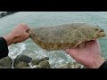 Jetty Inlet Madness – Hooked a Halibut off The Rocks!