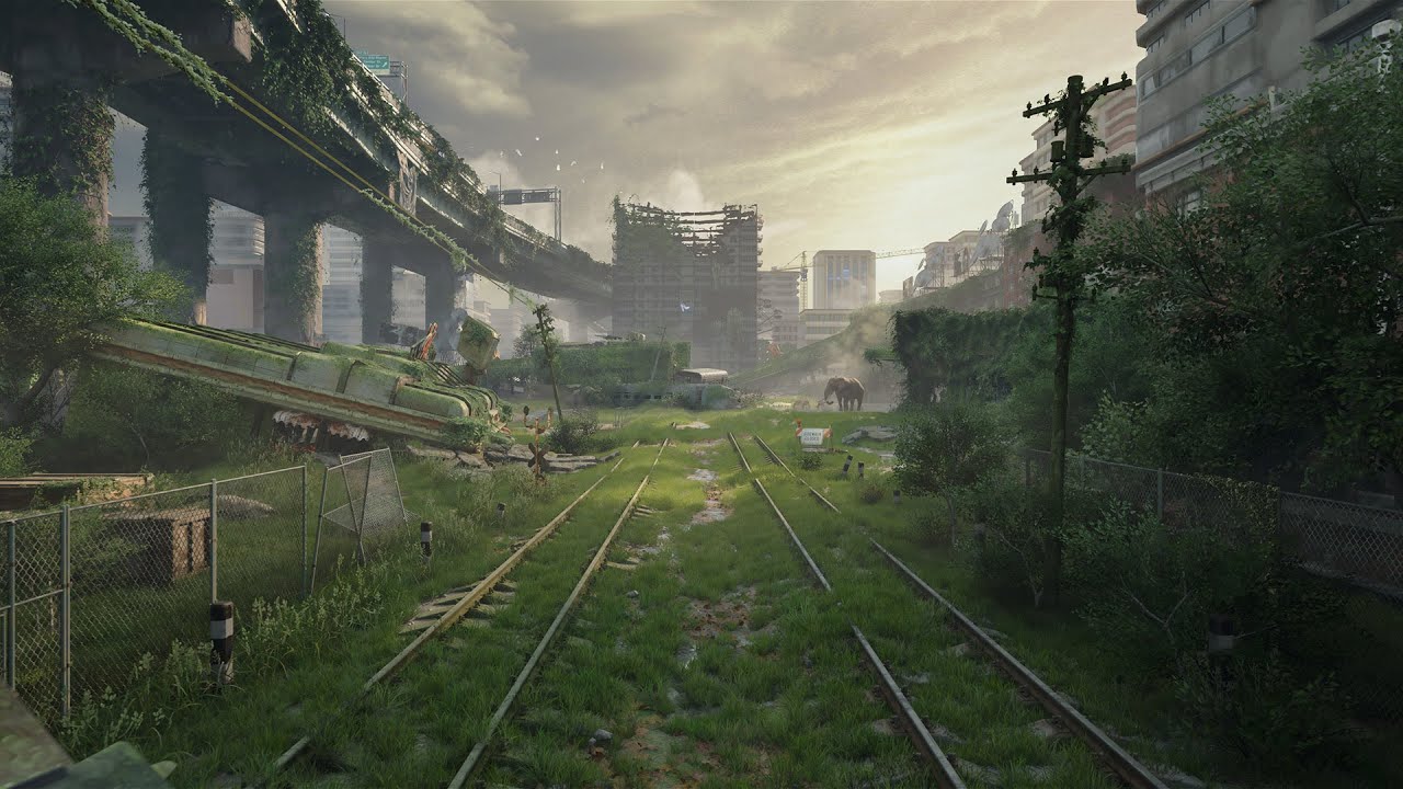 南方研究所 画集 北极研究所| Czepeku Store