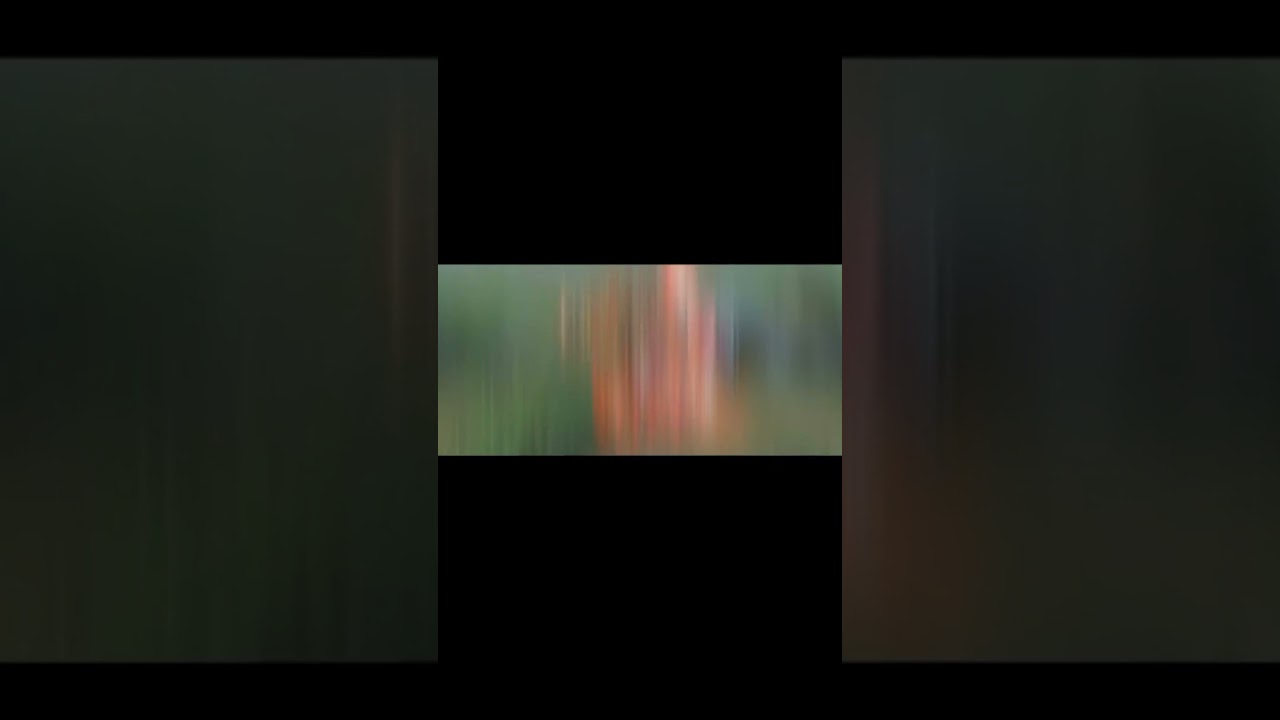 rrq ash hayabusa nya bikin insecure 😔