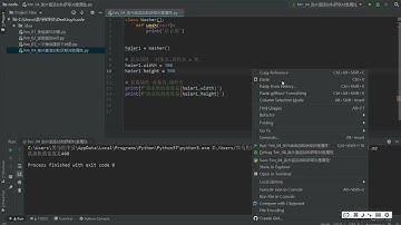 Python面向对象编程：1.8 类外面获取对象属性