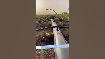 Nông cụ nông nghiệp Tháp Xanh, Công nghệ nông nghiệp, Thế giới Vật tư Máy móc