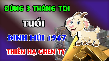 ĐIỀM BÁO CHẤN ĐỘNG Tuổi Đinh Mùi 1967 GIÀU HƠN TRÚNG SỐ, Đổi Đời Giàu To Đúng 3 Tháng Tới