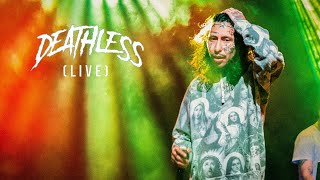 Player Profile Lil Lotus - Sleep Paralysis (LIVE)
