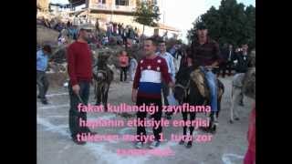 eşek yarışı kurban bayramı tanıtım filmi 2012 Resimi