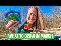 8 plants to grow in march