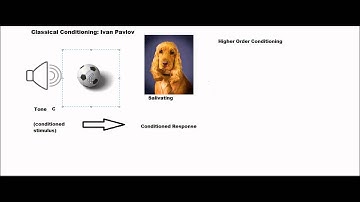 Classical Conditioning Part 2