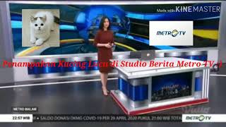 Download lagu Peristiwa Unik Seekor Kucing Masuk Studio Berita TV