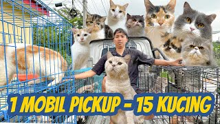 1 MOBIL PICKUP BAWA 15 KUCING