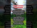 malaikat bertanya pada Alloh