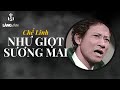 Như Giọt Sương Mai | Chế Linh Tuyển Chọn Official