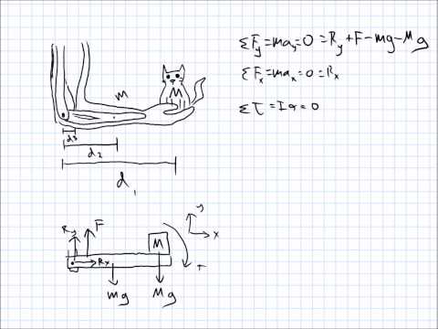 Torque and Reaction Force Example 1