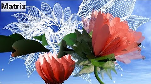 Matrix (Blender Addon) – Matrix Transformations/Repeat Zones – Leafs Blossoming Out (Geometry Nodes)