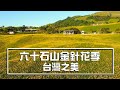 六十石山金針花季 | 台灣之美 | 花蓮