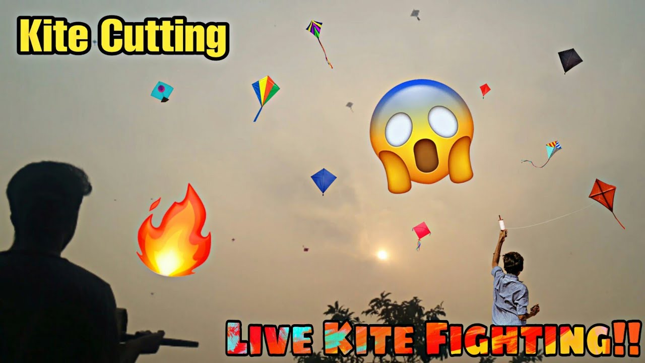Live Kite Fighting🔥অন্যের ঘুড়ি কাটার নিয়ম😱How To Cut Others Kite Easily💥SHAKRAIN KITE CUTTING VLOG 1