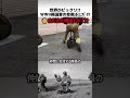 英国退役軍人のミニバイク