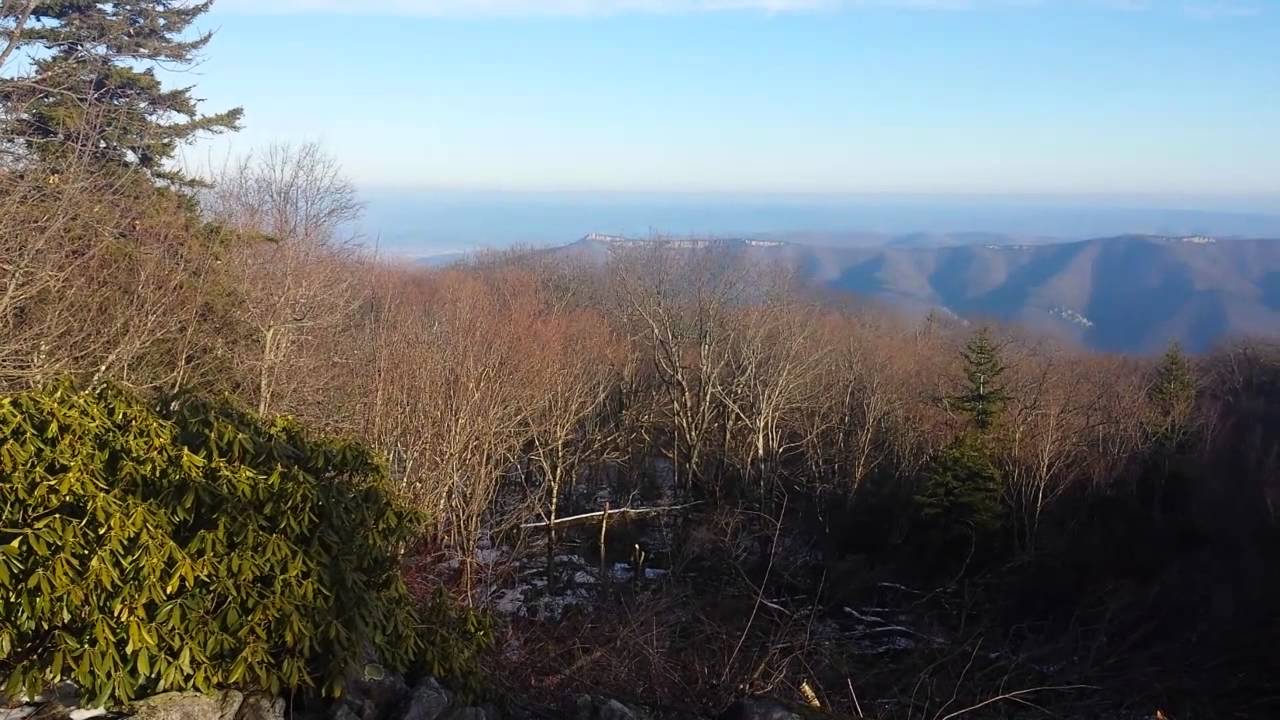 20141215 153230 camera iphone 8 plus apk