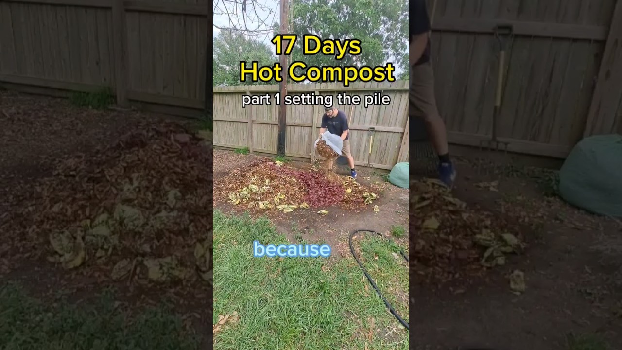 Hot compost pile. No smell. 17 days to make beautiful black living soil from kitchen refuse