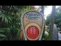 Hongkong disneyland moana october 3 2023  chinchin517 tv vlog  trending viral  1513mins