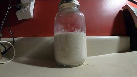 Sourdough Starter Timelapse - 8 Hours