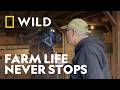 Vets, Llamas & New Beginnings | Heartland Docs | National Geographic WILD UK