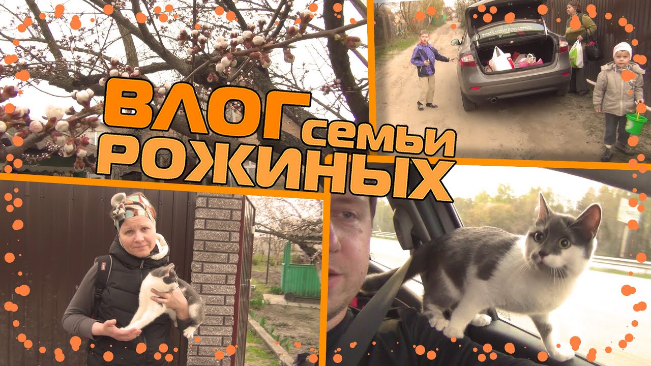 Педагогический отряд. Биг биг фэмили. Биг биг фэмили дзен. Биг биг фэмили дзен. Биг биг фэмили дзен.