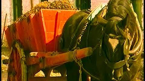 Manure Loading - Irish Farming of yesteryear