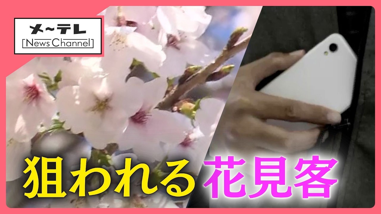 Blossom様確認用 Upskirting and theft targeting cherry blossom viewers: Risks lurk