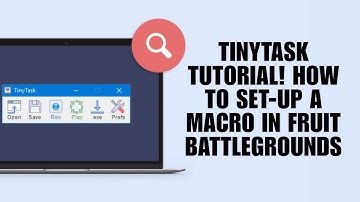 TinyTask Tutorial! How To Set-Up A Macro In Fruit Battlegrounds (Gaming Guide)