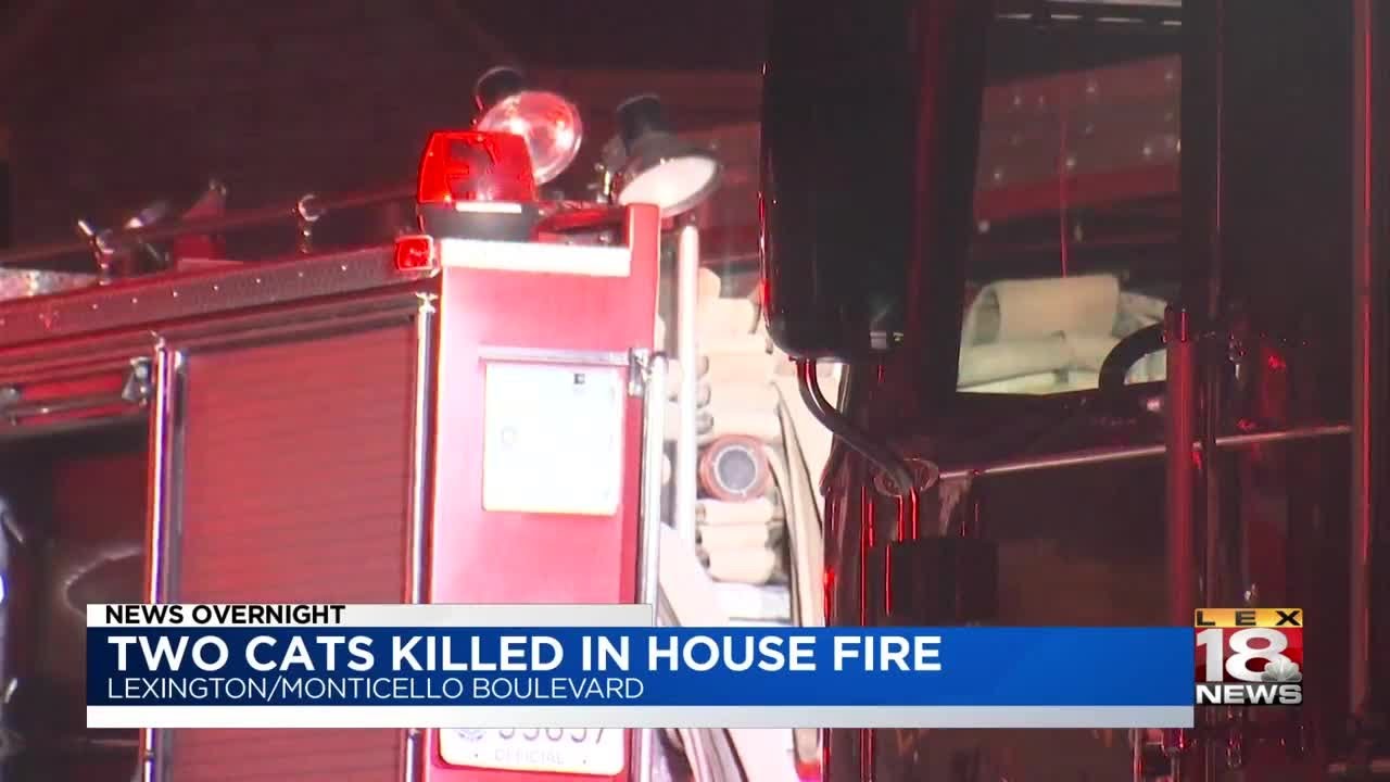 Two Cats Killed In House Fire - YouTube