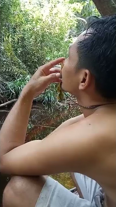 Pemikat itu Harus Bisa Gini Sapung Burung Nama nya