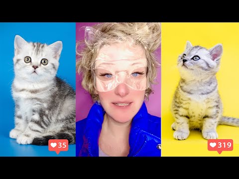 Смотреть клип Pixie Paris - Like My Cat
