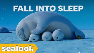 Silent Episodes Only : Watch This At NightㅣSealookㅣEpisodes Compilation