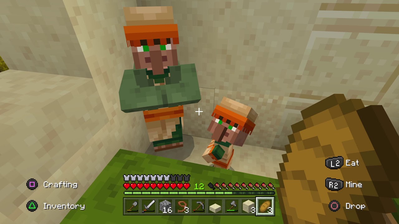 Minecraft Villager Reproduction - YouTube