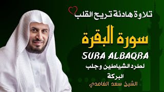 Download Lagu الشيخ سعد الغامدي  سورة البقرة النسخة الأصلية    Sheikh Saad Al Ghamdi  Surat Al Baqarah MP3