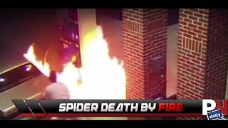 Guy Sets A Fire Trying To Kill A Spider!