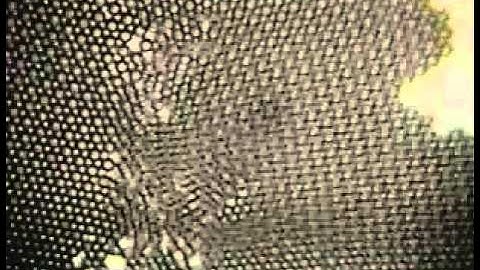 bubble raft video clip