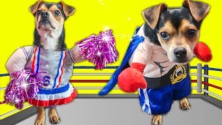 Mi̇ra Nın Köpeği̇ Ile Komi̇k Kostüm Parti̇si̇ Umikids Köpek Ları