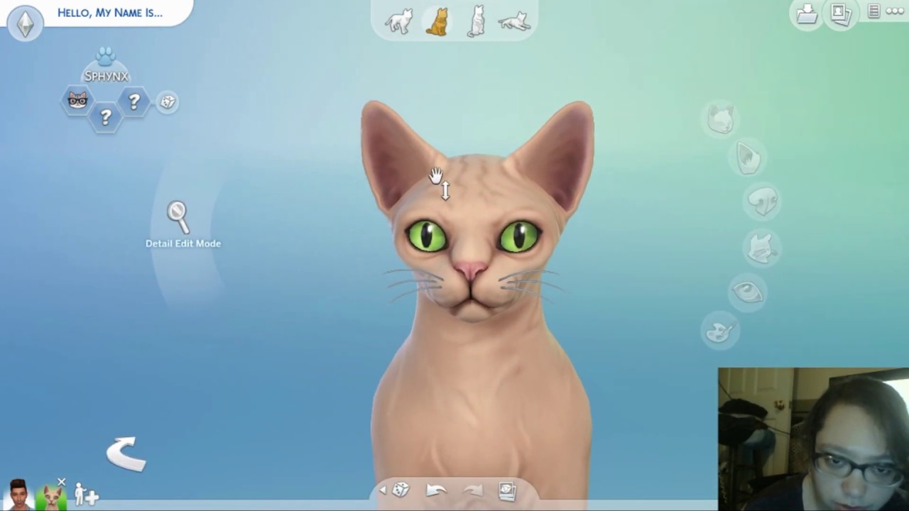 new challenge  sims 4 mystery genetics for your pets