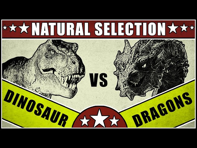Dinosaurs vs. Dragons