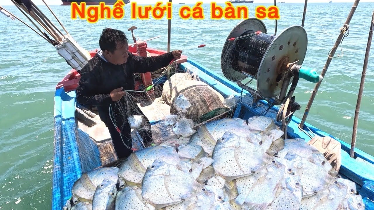 TRÚNG Mẻ Cá Ghim, Cá Bàn Sa Ngay Điểm Tàu Neo Lâu Năm_ Nín Thở Khi Gặp SỰ CỐ Đánh Điểm Tàu
