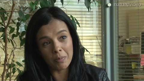 Brain training: does it work?  by Nature Video