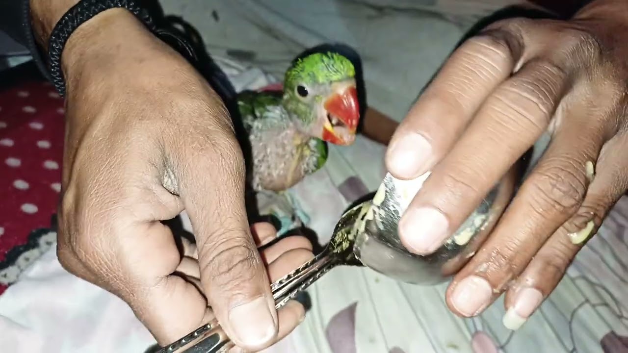 “माधव का कुतकुत स्टाइल में खाना टाइम!”“देखो माधव कैसे कुतकुत करके खाना खाता है 😍”