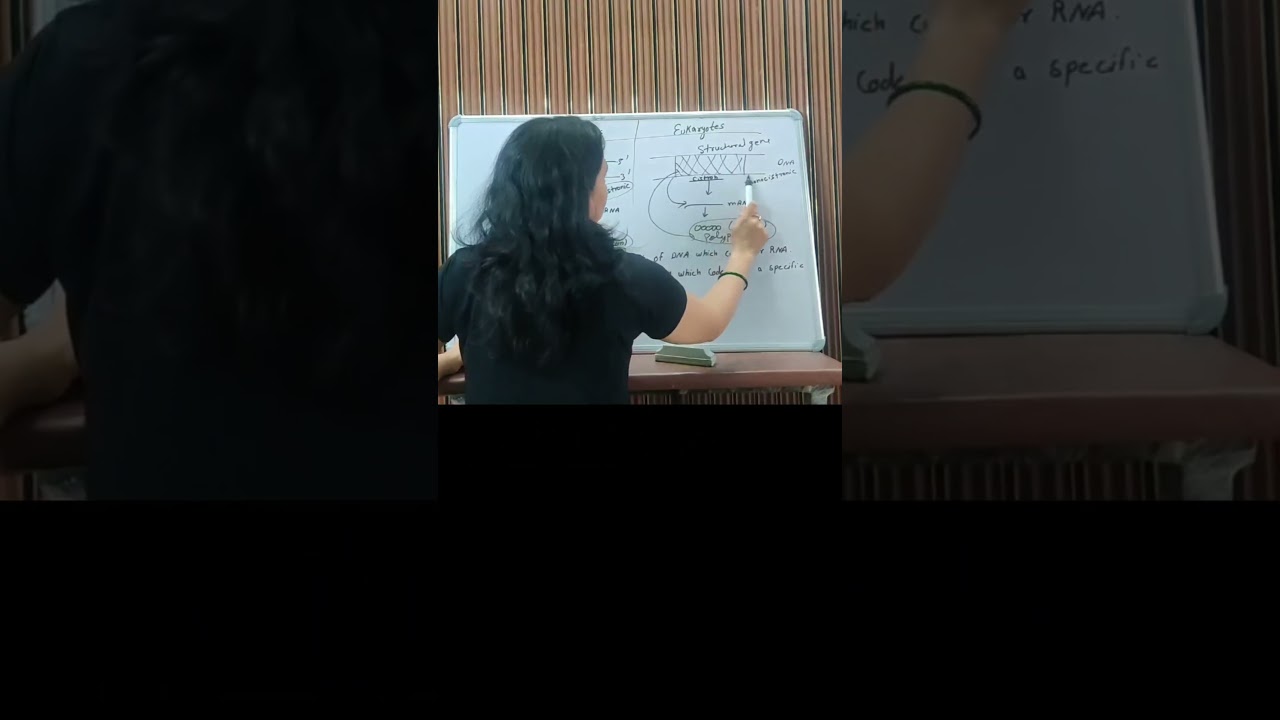 POLYCISTRONIC AND MONOCISTRONIC.