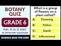 Botany MCQ Quiz for Grade 6 | 30 Questions with Answers | Plant Science Learning | Class 6 Students