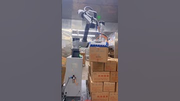 Collaborative Robotic Palletizer Packaging #palletizer #collaborativepalletizer #salanpacking